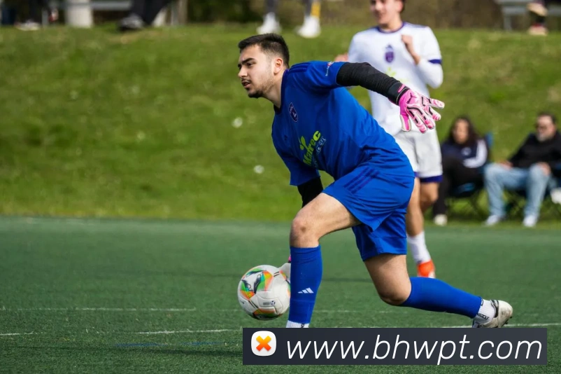 九游j9官网网页版入口发展历程