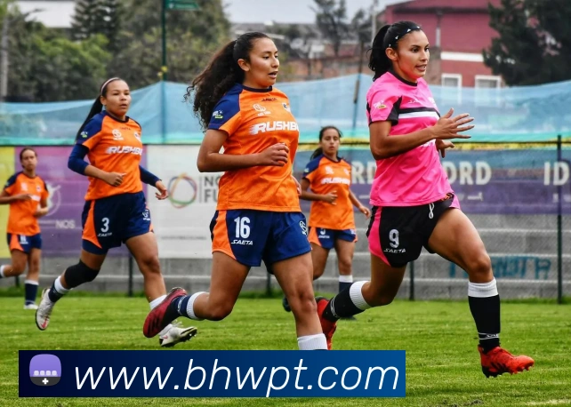 九游在线官网APP 封面图